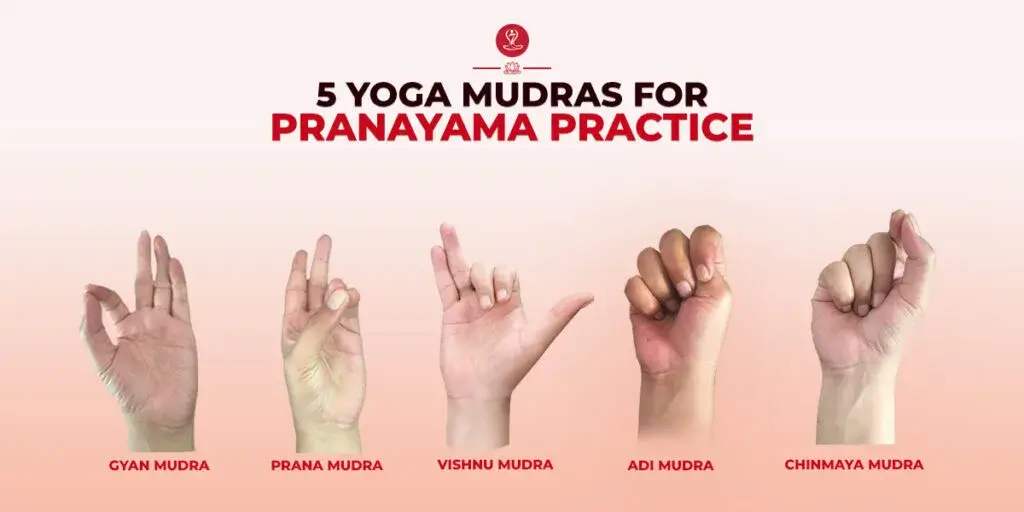 5 Best Yoga Mudras for Pranayama Practice with Benefits and Steps