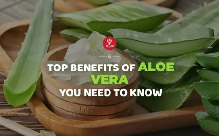 Fresh aloe vera plant showing natural health and skincare benefits