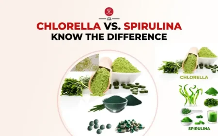 Chlorella vs spirulina supplement comparison