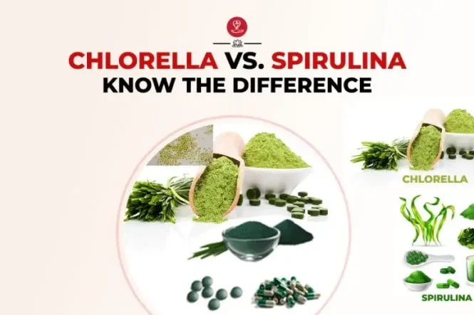 Chlorella vs spirulina supplement comparison