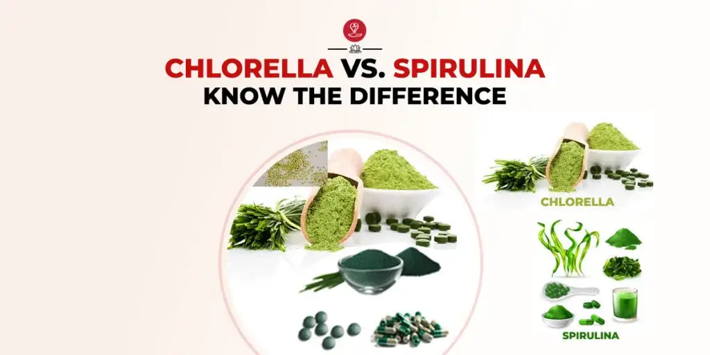 Chlorella vs spirulina supplement comparison