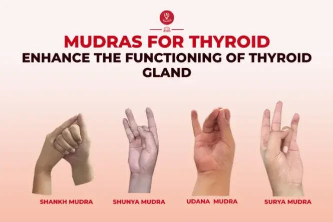5 Best Yoga Mudras for Thyroid Health with Benefits and How to Practice