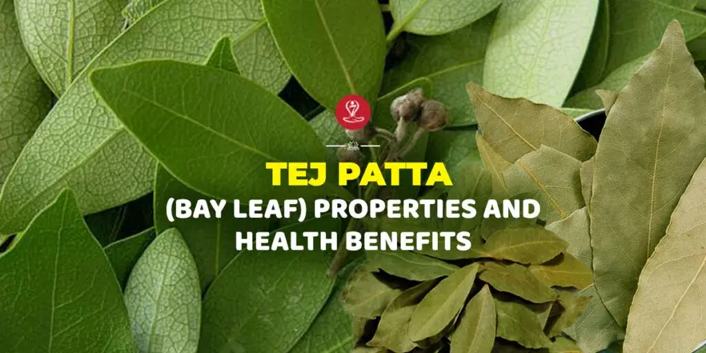Tej Patta bay leaves displaying Ayurvedic properties and health benefits.