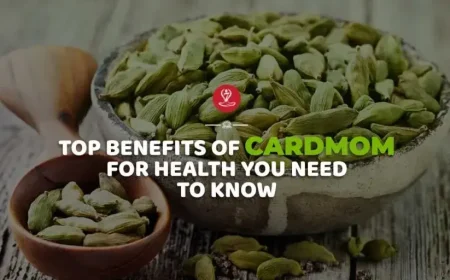 Benefits of Cardamom for Health infographic showing digestion support, fresh breath, antioxidant properties, heart health benefits, and Ayurvedic wellness uses of elaichi.