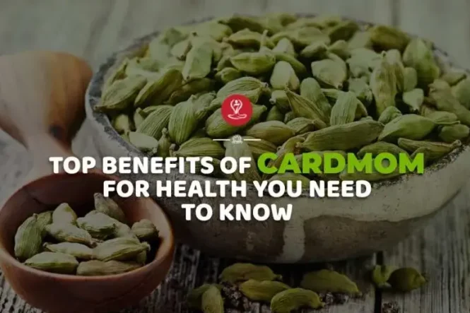 Benefits of Cardamom for Health infographic showing digestion support, fresh breath, antioxidant properties, heart health benefits, and Ayurvedic wellness uses of elaichi.