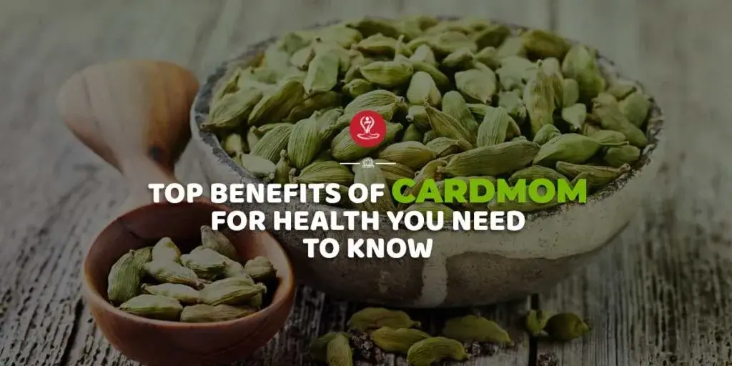Benefits of Cardamom for Health infographic showing digestion support, fresh breath, antioxidant properties, heart health benefits, and Ayurvedic wellness uses of elaichi.