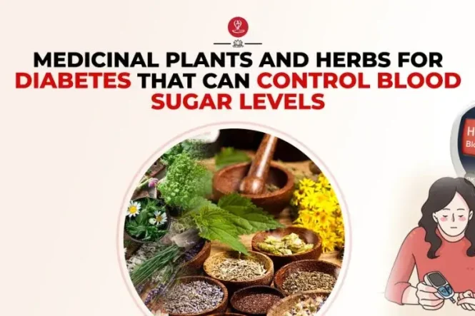 Best herbs for diabetes infographic featuring amla, fenugreek, cinnamon, bitter melon, gymnema, blood sugar support tips, healthy lifestyle recommendations, and natural wellness guidance.