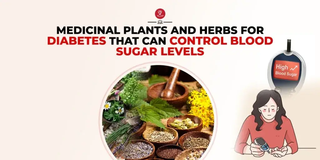 Best herbs for diabetes infographic featuring amla, fenugreek, cinnamon, bitter melon, gymnema, blood sugar support tips, healthy lifestyle recommendations, and natural wellness guidance.