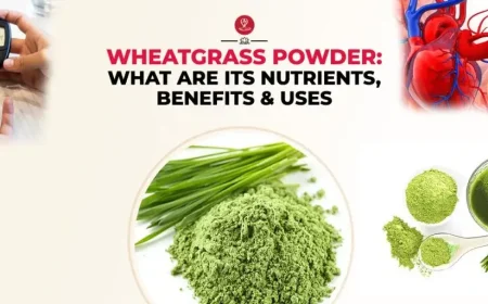 Green wheatgrass powder in a glass with a spoon