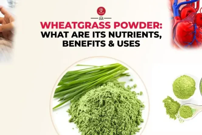 Green wheatgrass powder in a glass with a spoon