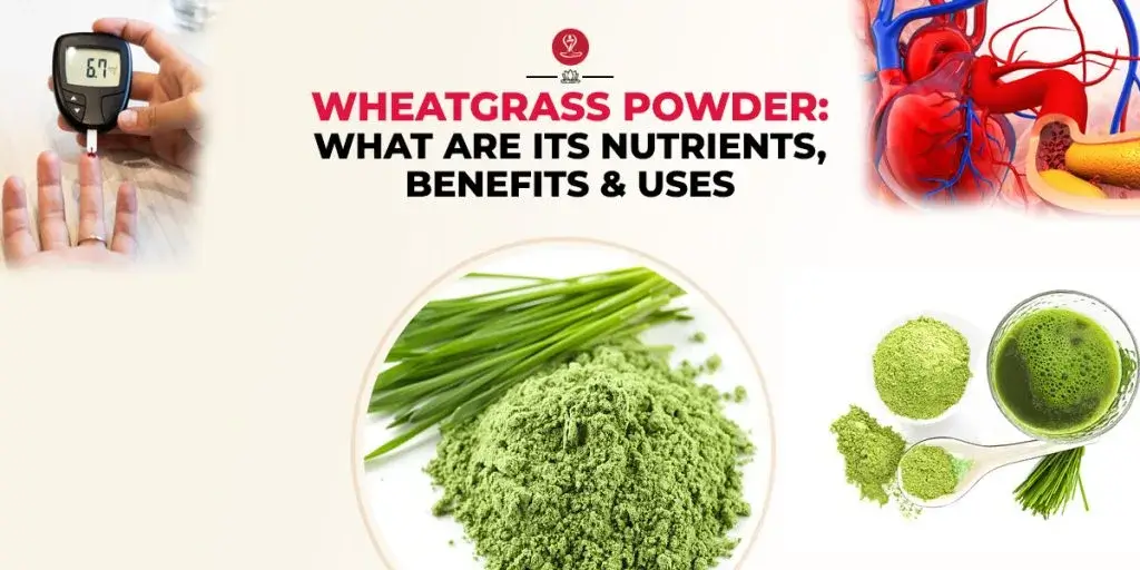 Green wheatgrass powder in a glass with a spoon