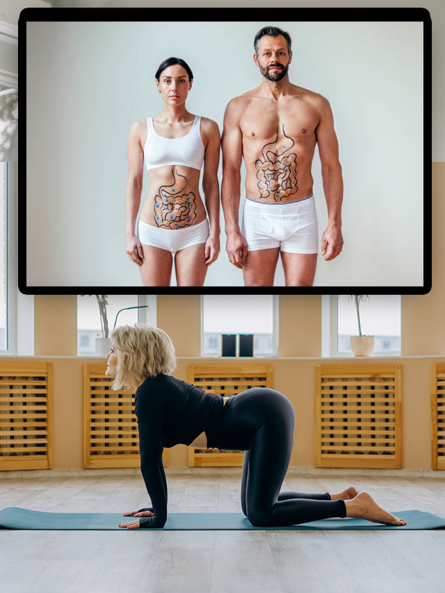 yoga-gut