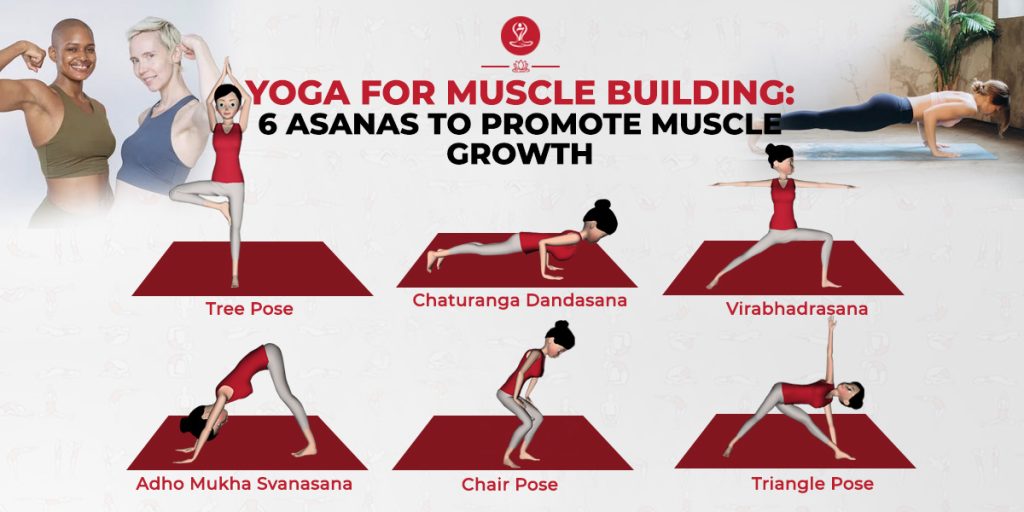 Yoga for Muscle