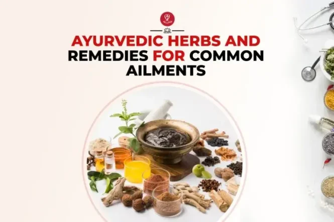 Ayurvedic herbs and natural remedies including turmeric, tulsi, amla, ashwagandha, neem, and traditional herbal preparations arranged on a wooden surface for holistic wellness.