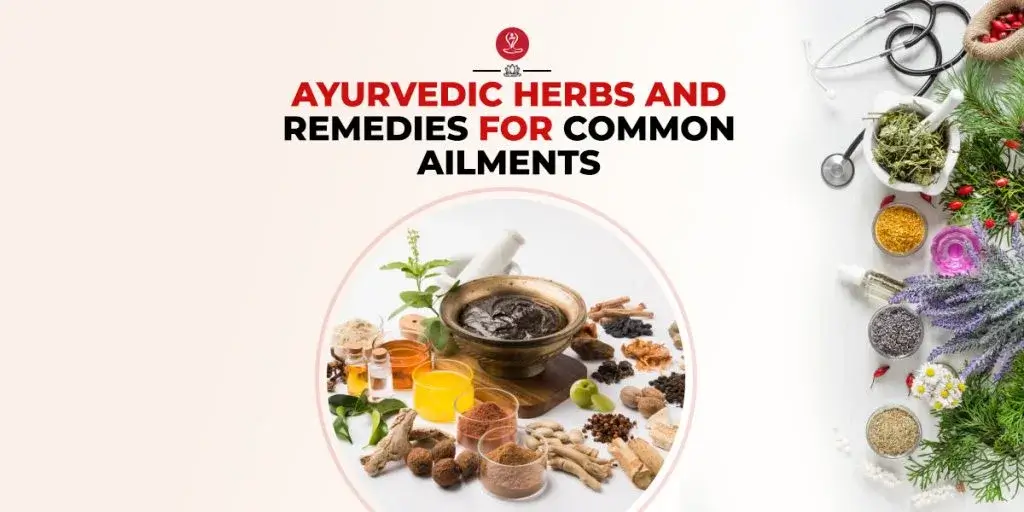 Ayurvedic herbs and natural remedies including turmeric, tulsi, amla, ashwagandha, neem, and traditional herbal preparations arranged on a wooden surface for holistic wellness.