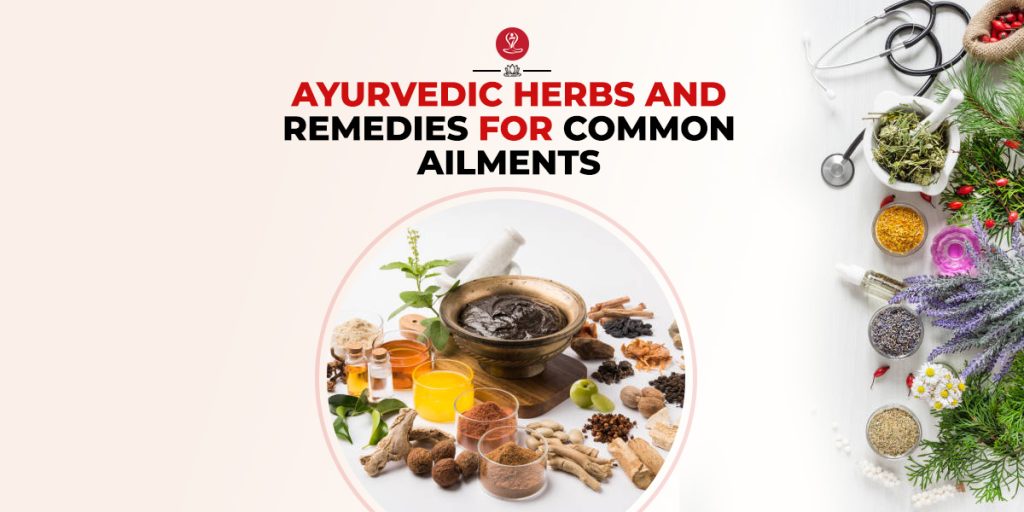 Ayurvedic Herbs and Remedies For Common Ailments