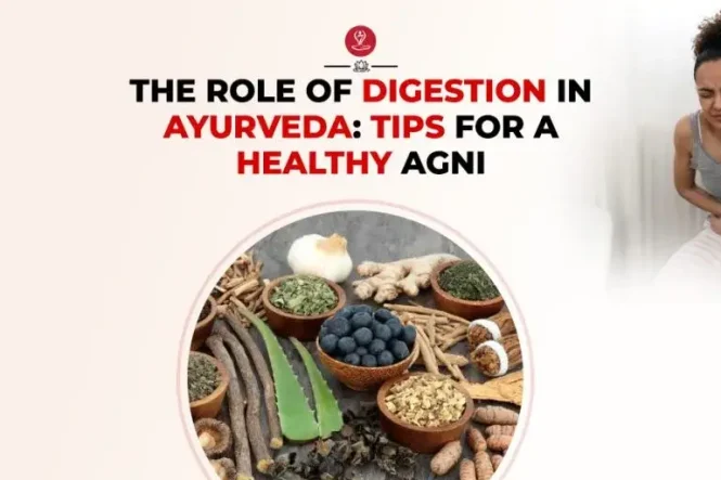 Digestion in Ayurveda explained with practical tips for maintaining healthy Agni