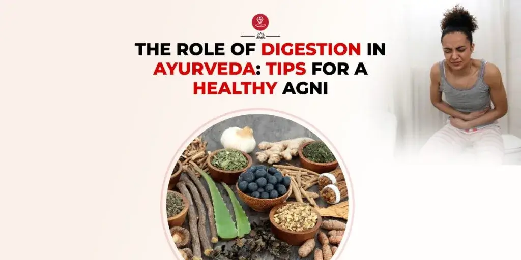 Digestion in Ayurveda explained with practical tips for maintaining healthy Agni