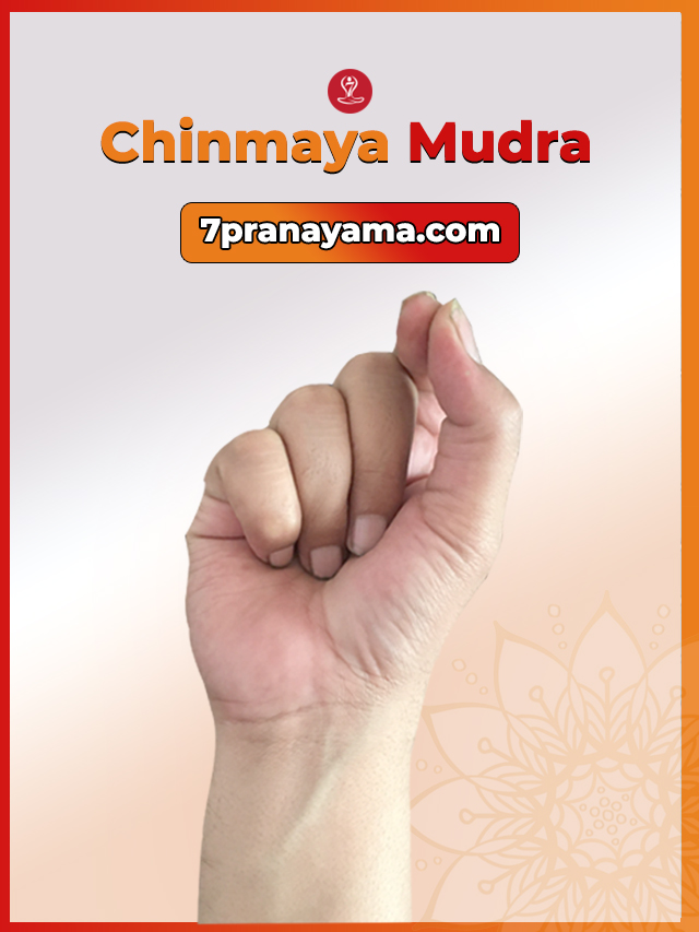 Chinmaya-mudra