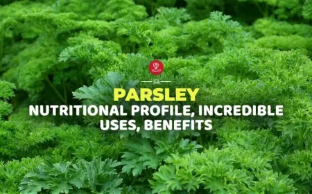 Fresh parsley leaves in a wooden bowl highlighting parsley nutrition facts, health benefits, digestive support, immune health, antioxidant properties, and overall wellness.