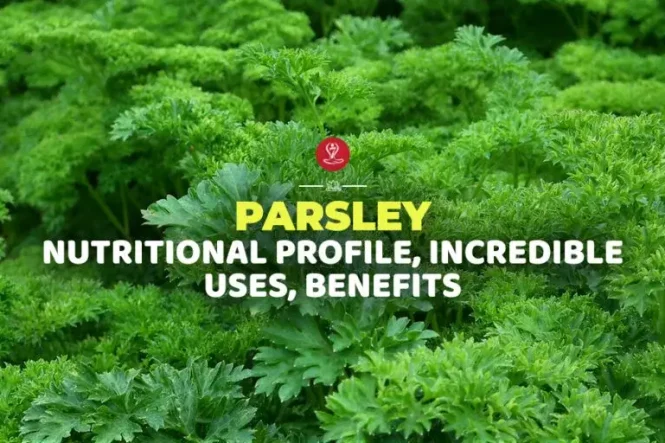 Fresh parsley leaves in a wooden bowl highlighting parsley nutrition facts, health benefits, digestive support, immune health, antioxidant properties, and overall wellness.