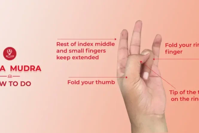 Surya Mudra hand gesture demonstrating the correct finger position for boosting energy and supporting digestion during yoga practice.