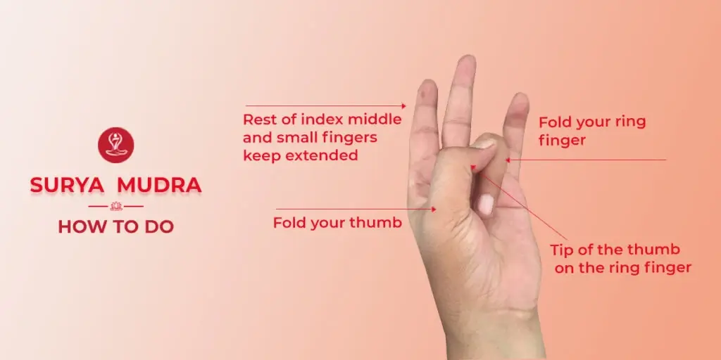 Surya Mudra hand gesture demonstrating the correct finger position for boosting energy and supporting digestion during yoga practice.