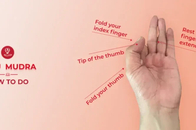 Person demonstrating the correct Vayu Mudra hand gesture during yoga meditation.