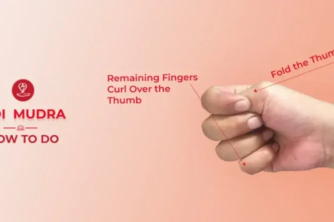 Person demonstrating Adi Mudra hand gesture during meditation with proper posture.