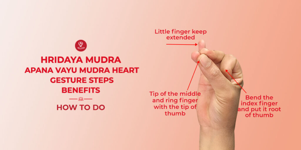 Hridaya Mudra hand gesture step-by-step guide for beginners