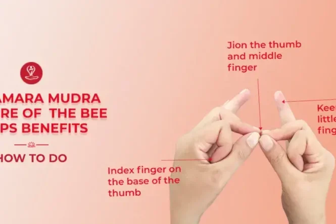 Person demonstrating Bhramara Mudra hand gesture during meditation to support respiratory wellness, relaxation, and traditional allergy relief practices.