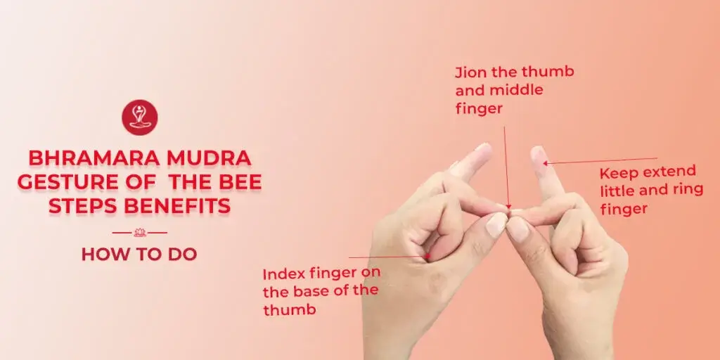 Person demonstrating Bhramara Mudra hand gesture during meditation to support respiratory wellness, relaxation, and traditional allergy relief practices.