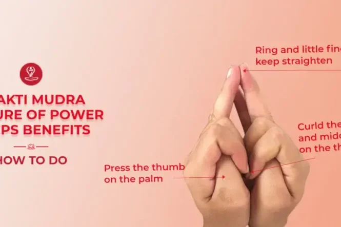 Person practicing Shakti Mudra (Gesture of Power) while meditating in a peaceful yoga posture.
