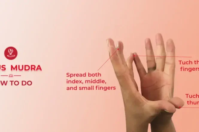 Lotus Mudra hand gesture step-by-step yoga guide