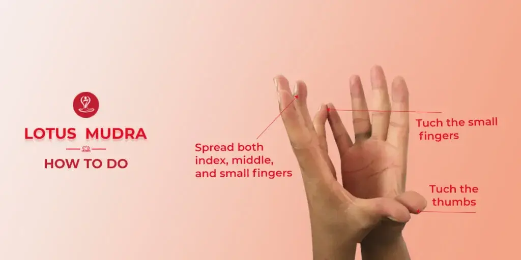 Lotus Mudra hand gesture step-by-step yoga guide