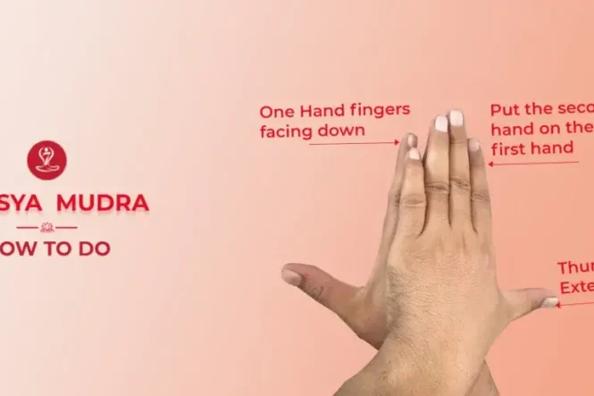 Woman practicing Matsya Mudra (Gesture of the Fish) in a seated meditation pose with proper hand position to promote relaxation, mindfulness, concentration, and overall wellness.