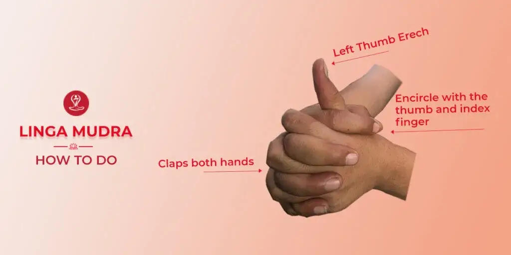 Linga Mudra hand gesture steps and benefits for beginners