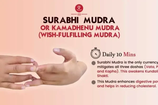 Surabhi Mudra hand position step-by-step for beginners.