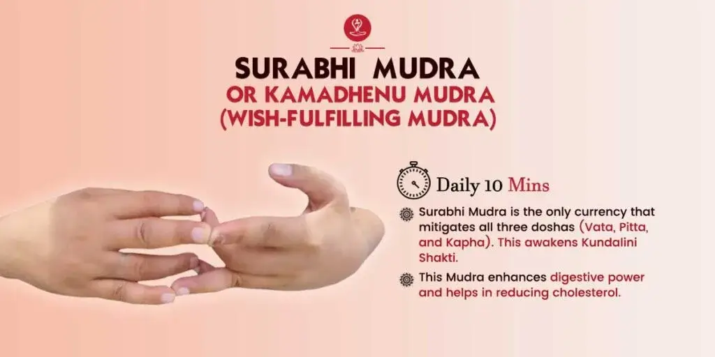 Surabhi Mudra hand position step-by-step for beginners.