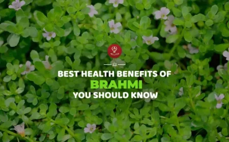 Fresh Brahmi (Bacopa monnieri) herb leaves displayed with Ayurvedic ingredients, highlighting natural brain health, memory support, focus enhancement, and overall wellness benefits.