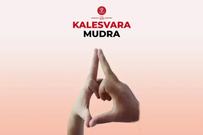 Kaleshwar Mudra hand gesture with steps and benefits for meditation