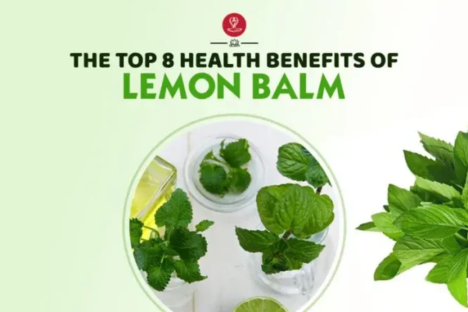 Fresh green lemon balm leaves with a cup of herbal tea showcasing the natural benefits of lemon balm for stress relief, sleep support, digestion, and overall wellness.