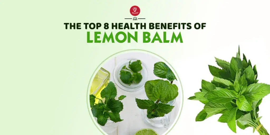 Fresh green lemon balm leaves with a cup of herbal tea showcasing the natural benefits of lemon balm for stress relief, sleep support, digestion, and overall wellness.