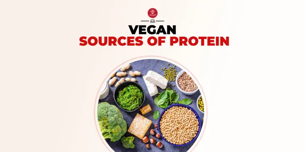 Assorted plant-based protein foods including lentils, tofu, quinoa, nuts, and seeds