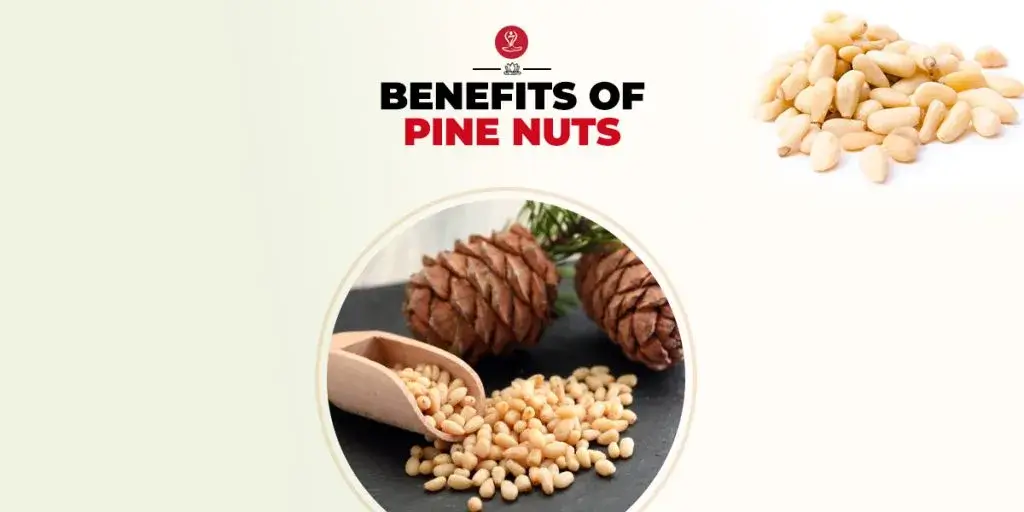Pine nuts in a wooden bowl showing nutrition and health benefits