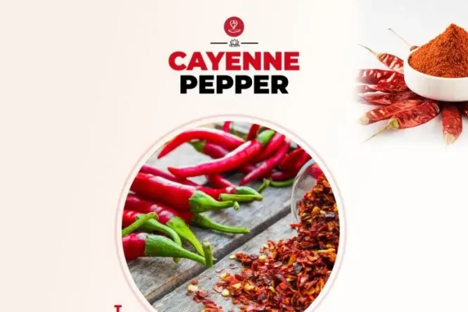 Wooden spoon filled with cayenne pepper powder surrounded by fresh red chili peppers, highlighting the health benefits of cayenne pepper for digestion, metabolism, and overall wellness.