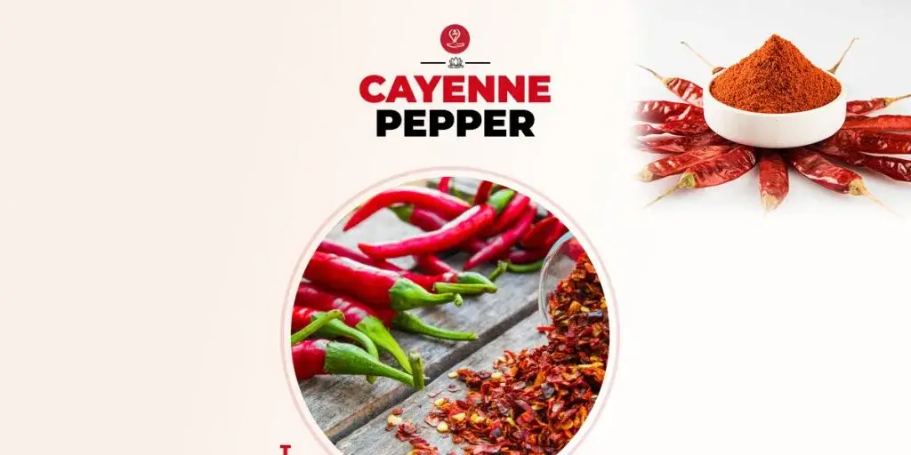 Wooden spoon filled with cayenne pepper powder surrounded by fresh red chili peppers, highlighting the health benefits of cayenne pepper for digestion, metabolism, and overall wellness.