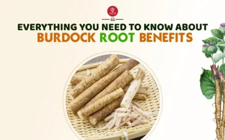 Fresh burdock roots with herbal tea and natural ingredients displayed on a wooden surface, representing digestive health, skin wellness, detoxification support, immunity, and traditional herbal medicine benefits.
