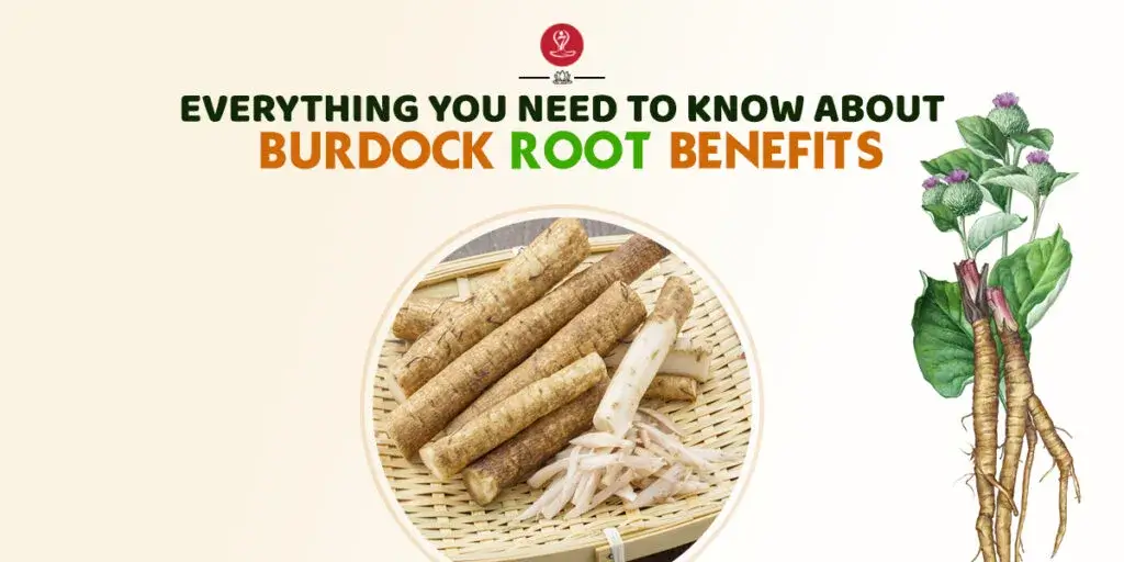 Fresh burdock roots with herbal tea and natural ingredients displayed on a wooden surface, representing digestive health, skin wellness, detoxification support, immunity, and traditional herbal medicine benefits.