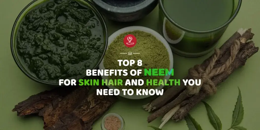 Fresh neem leaves, neem powder, and neem oil arranged naturally, highlighting the benefits of neem for skin care, healthy hair, scalp wellness, and overall health.